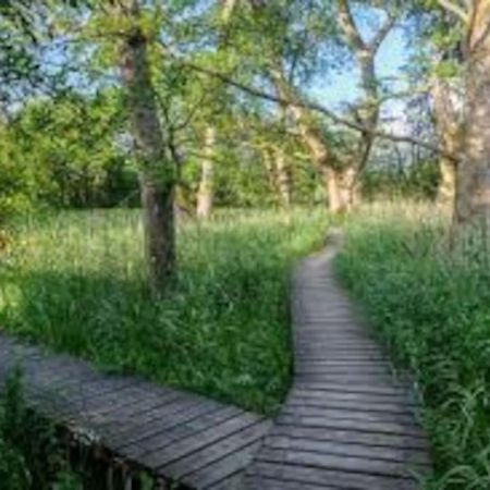 Courtyard Cottage Локербі Екстер'єр фото