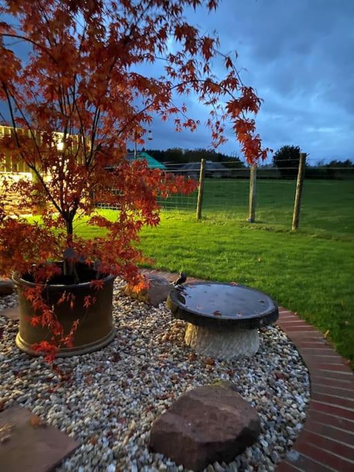 Courtyard Cottage Локербі Екстер'єр фото