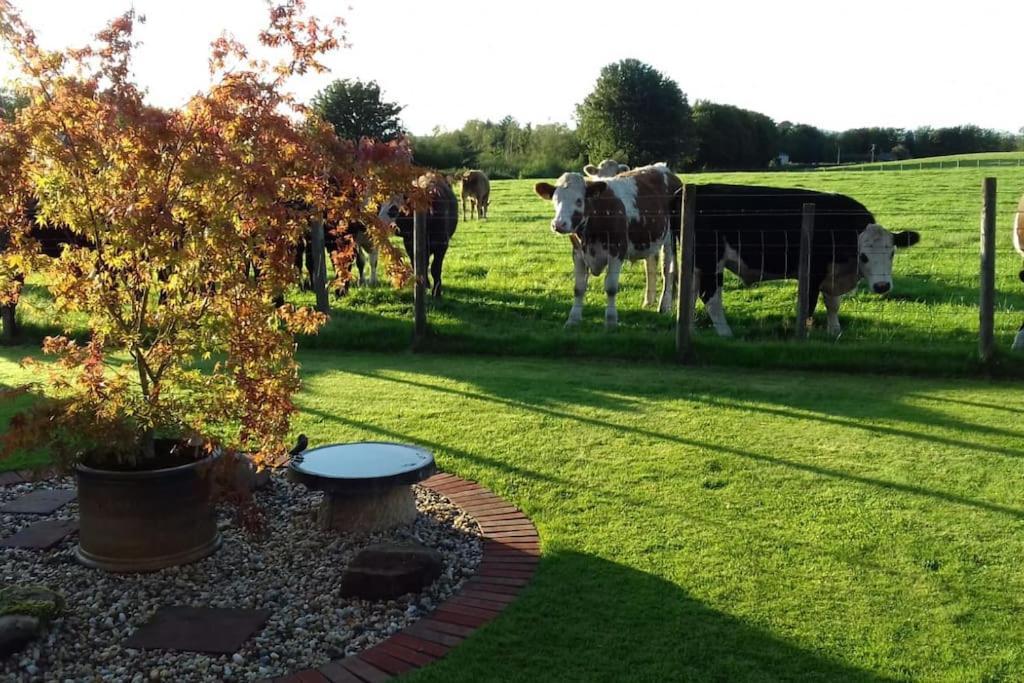 Courtyard Cottage Локербі Екстер'єр фото